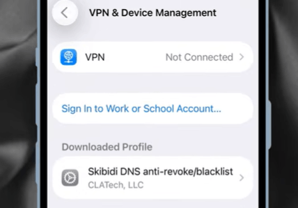 ios2.4